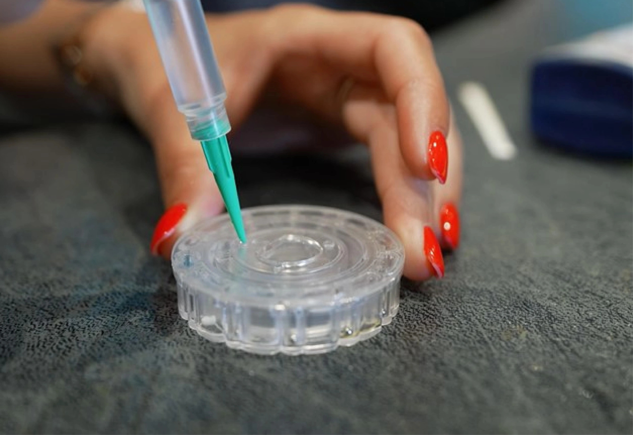 Analyse et traitement d’eau de piscine en Corse-du-Sud