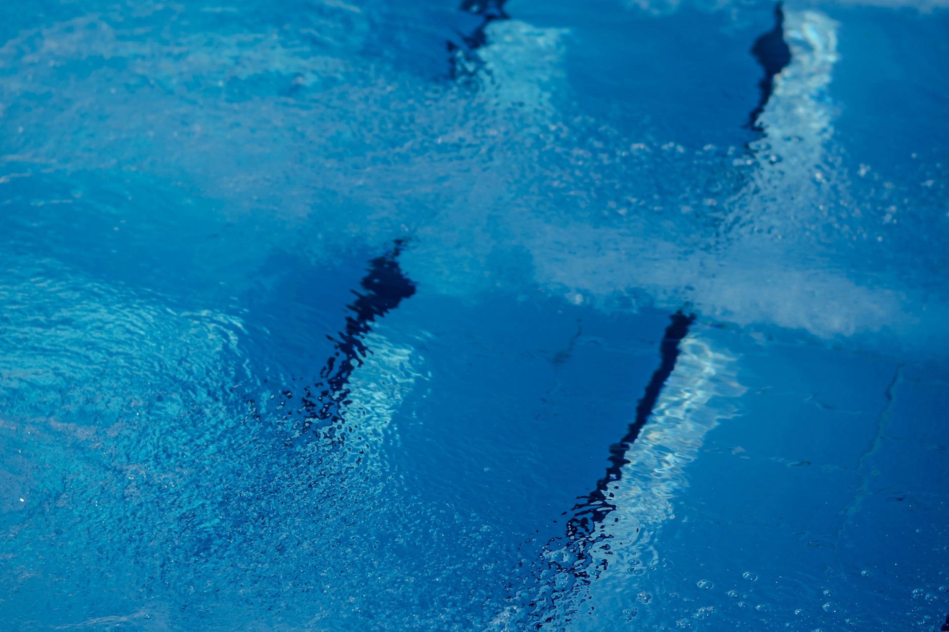 Piscine service 2A - Pisiciniste responsable en Corse-du-Sud